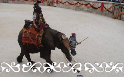nimes hannibal 2014 celti celts cartaginesi elephant annibale reenactment rievocazione storico