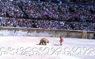 nimes alesia arene 2013 okelum