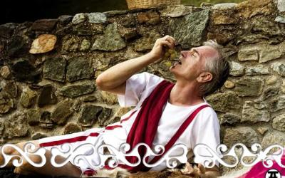 okelum galloromanitas galloromanizzazione romani gladiatori cibo matrona dominus villa romana di almese