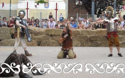 pavone ferie medievali 2012 celti fight warrior celts guerrieri celt
